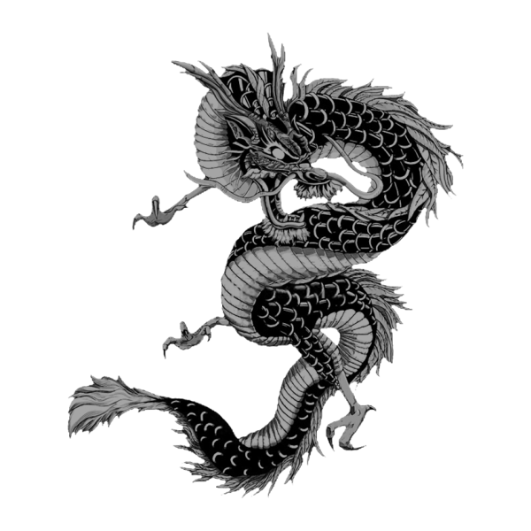 File:Iron Dragons.png
